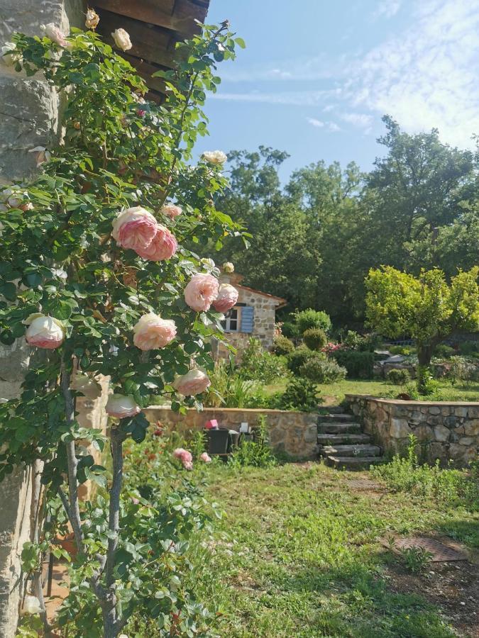 몬투르 Domaine Geodora, Parfumeur En Provence 빌라 외부 사진