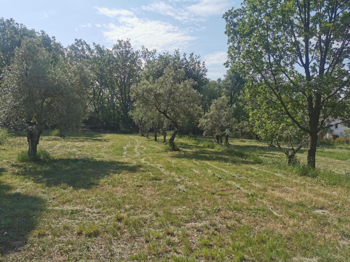 몬투르 Domaine Geodora, Parfumeur En Provence 빌라 외부 사진