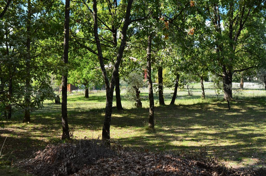 몬투르 Domaine Geodora, Parfumeur En Provence 빌라 외부 사진